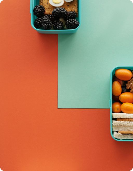 Nutrition, Diet Plan & Progress Tracking